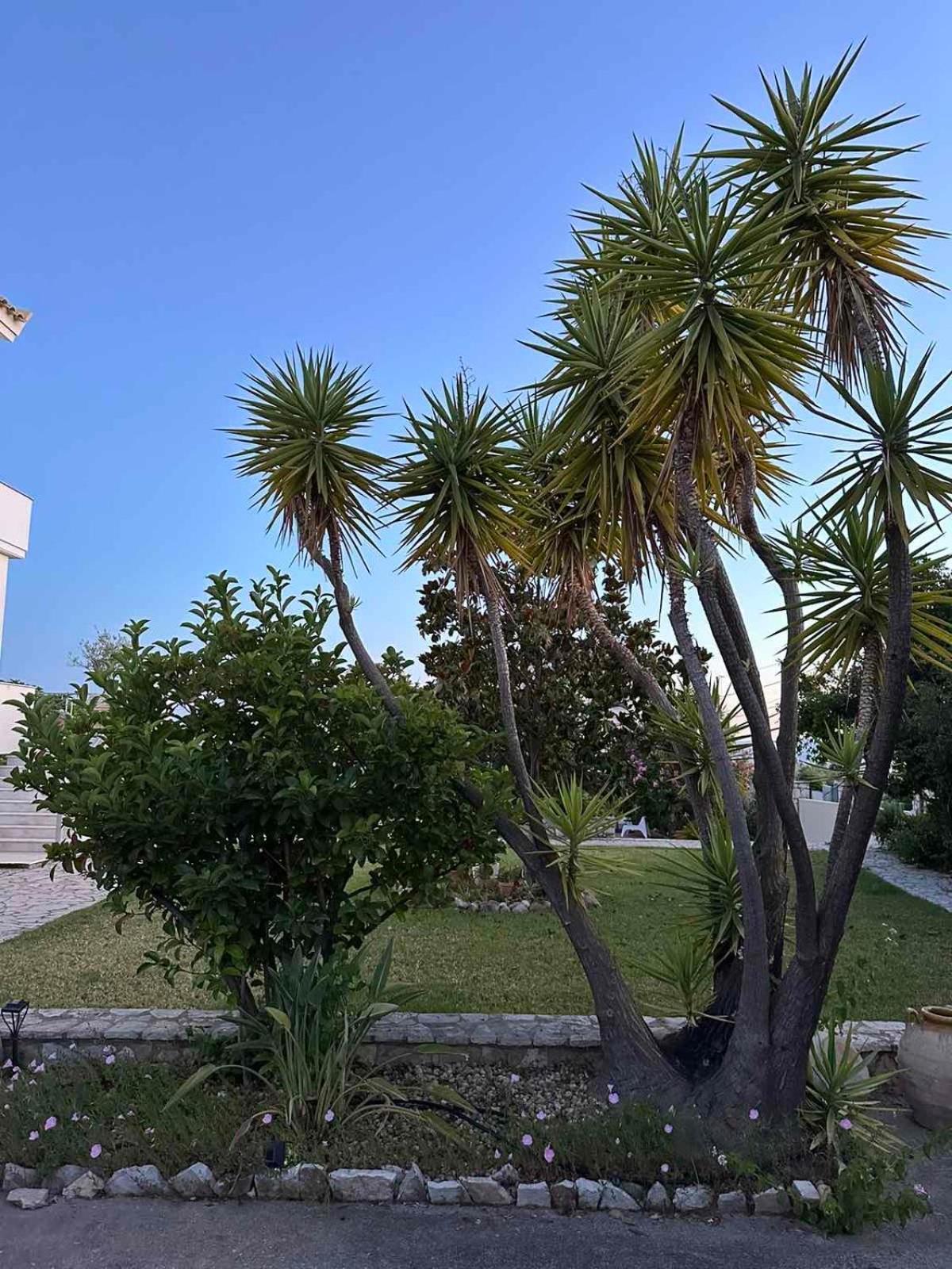 Anamnesis. Feel The Mediterranean. Kalamata Bagian luar foto