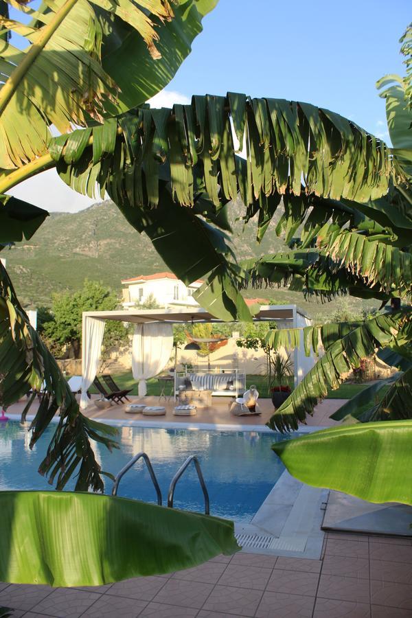 Anamnesis. Feel The Mediterranean. Kalamata Bagian luar foto